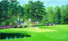 Golfers Paradise Mural (Large)